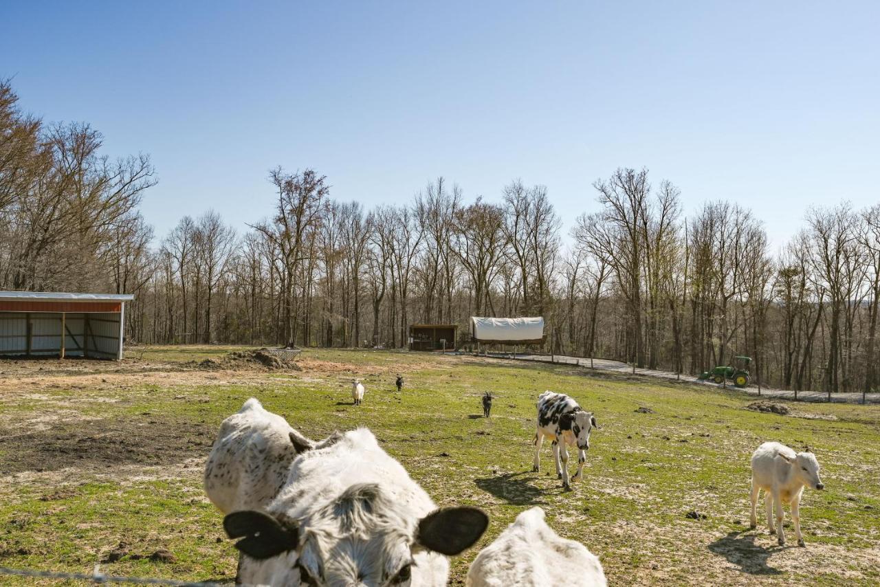 Ultimate Covered Wagon Pioneers Paradise Brownsville エクステリア 写真